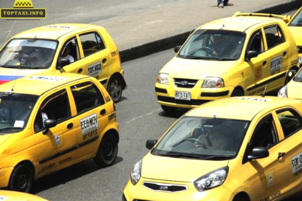 Taxi Gia Việt Cần Giuộc