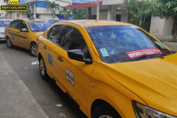 Taxi Hoàng Anh Bình Định