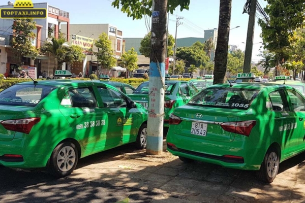 Taxi Mai Linh Chư Pưh