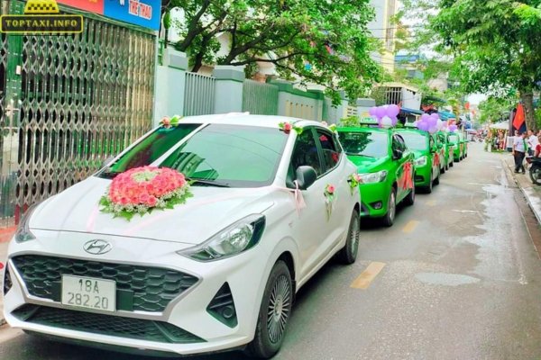 Taxi Mai Linh Nam Định