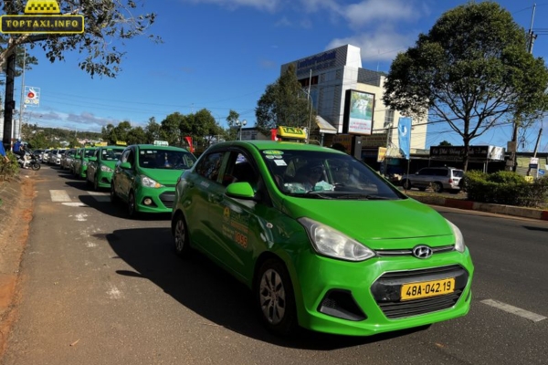 Taxi Mai Linh Nghĩa Hành