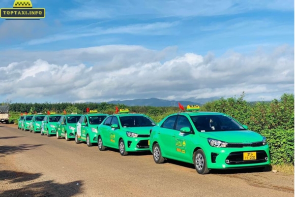 Taxi Mai Linh Đắk Song