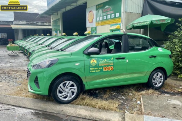 Taxi Mai Linh Tân Biên