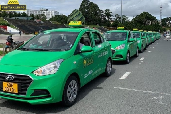 Taxi Mai Linh Tân Châu