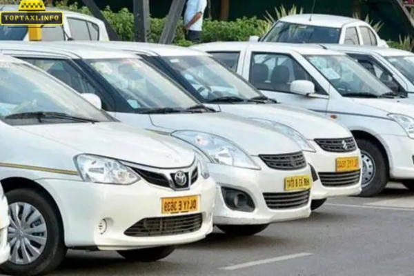 Taxi Open99 Mỏ Cày Bắc