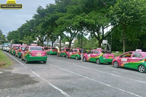 Taxi Sen Hồng Sa Đéc