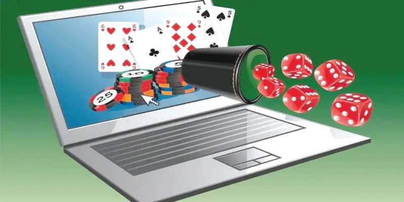 Giới thiệu Nohu Win về quá trình hình thành